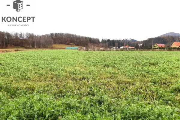 dolnośląskie, karkonoski, Mysłakowice, Wojanów, Działka rolna na sprzedaż w Wojanowie