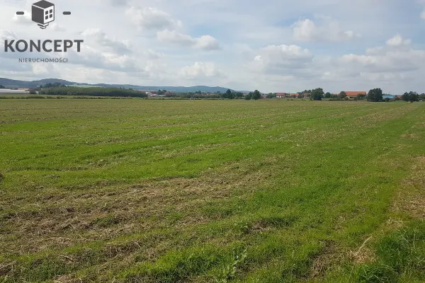 dolnośląskie, jaworski, Paszowice, Działka budowlana na sprzedaż.