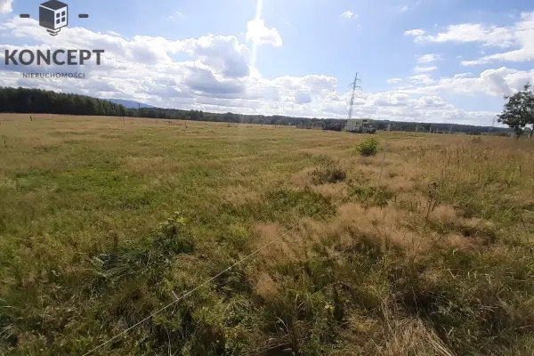 dolnośląskie, lwówecki, Karłowiec, Karłowiec, działka na sprzedaż.