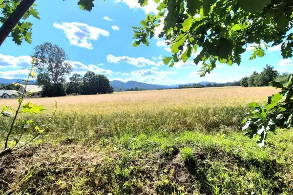 dolnośląskie, karkonoski, Podgórzyn, Marczyce, Marczyce, wyjątkowa działka z widokiem na góry. Wniosek o WZ w toku.